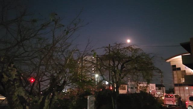 十五夜ですね～の記事動画