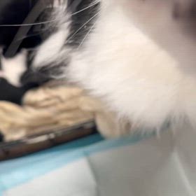可愛すぎる赤ちゃん達の画像