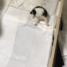 母が最初に教える事の画像