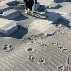 先輩達との画像