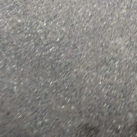 散歩練習の画像
