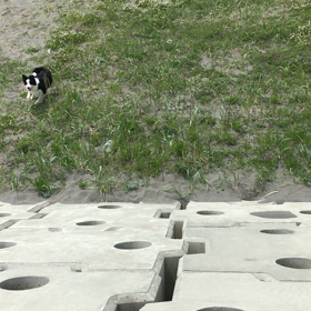 秋田に行く予定の子の画像