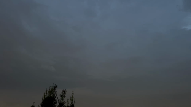 雷の記事動画