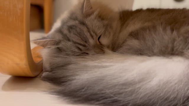 お疲れ様ですの記事動画