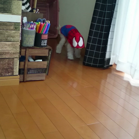 スパイダーマン座椅子にぶつかるの巻の画像