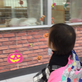67週間の画像