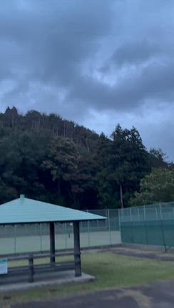 何でも来やがれ‼️ 強風も雨も乗り越えて、早朝テニス最終日への記事動画