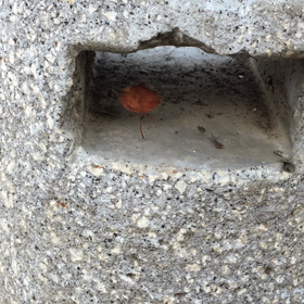 なんだかわかりますか??の画像