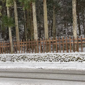 リップの画像