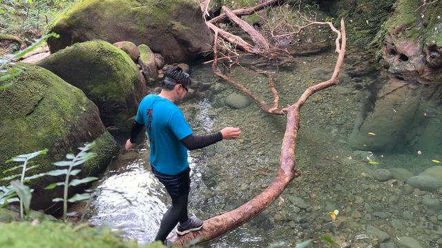 今期初のドボンと魚釣り(^^)の記事動画