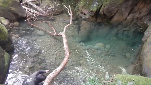 今期初のドボンと魚釣り(^^)の記事動画