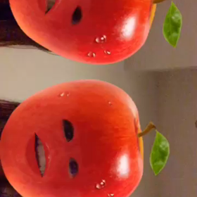 動画の画像