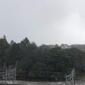 珍しい証拠？の画像