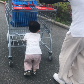 あおい、コストコ初カート♪の画像