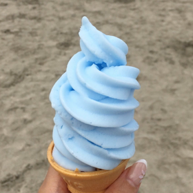 和田浜①の画像