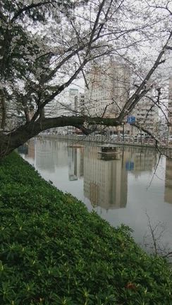 「雨の日の城山公園」の記事動画