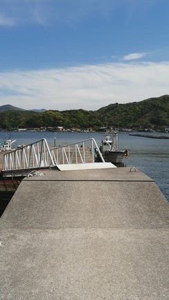 「九島とウミネコ」の記事動画