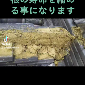 雨漏りの原因の画像