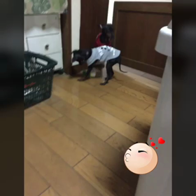 小僧の画像