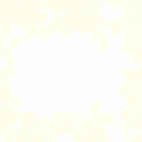 作ってみたの画像