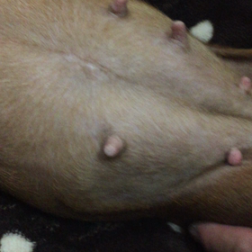 胎動(^^)の画像