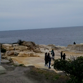 こんばんは、和歌山県白浜町の千畳敷ですの画像