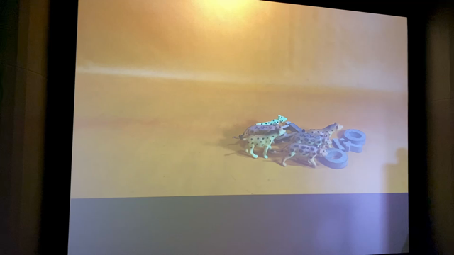 夏のお出かけ③〜パナソニックセンターAkeruEの記事動画