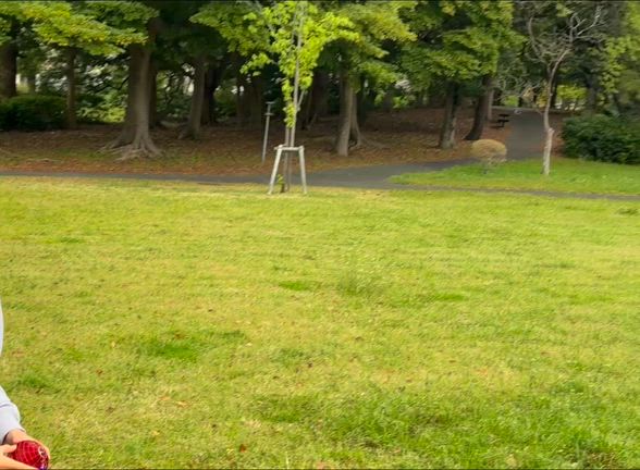 不思議な光る球！小学生息子がドハマりした「フライングボール」の記事動画