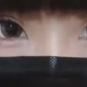 動画の画像