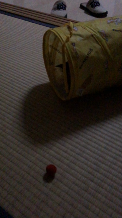 スローでボールあそびの記事動画