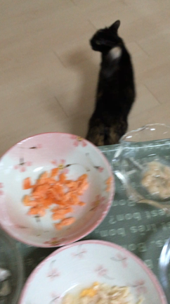 明日、お誕生日やねん。の記事動画