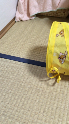 飼い主さんとボールあそびの記事動画