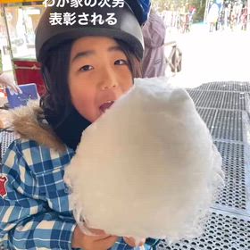 2026/03/06の画像