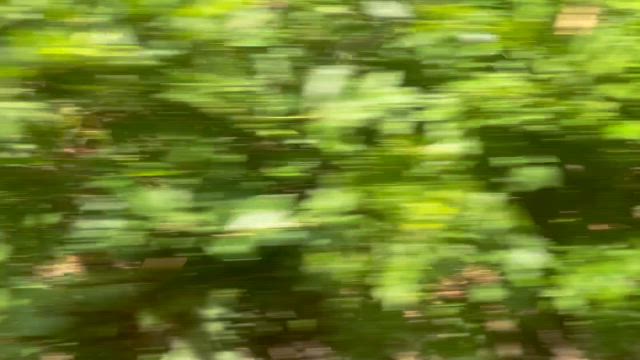 上高地行き③（特急しなの号〜日本三大車窓）の記事動画