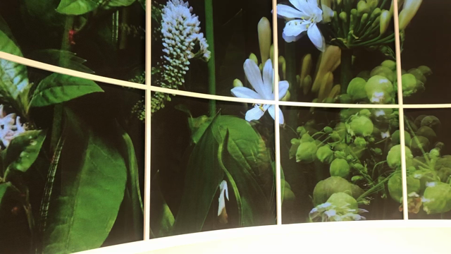 5月1日⭐︎の記事動画