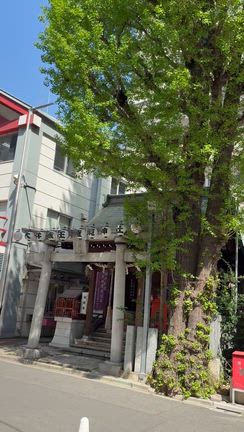 大井蔵王権現神社の記事動画