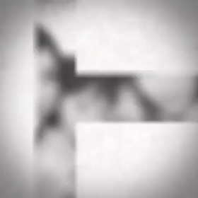 ランチの画像