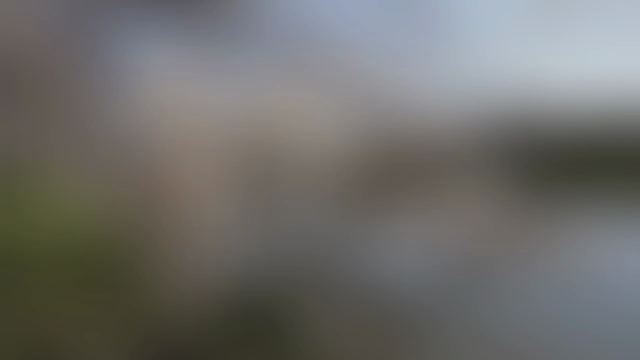 中目黒♡代々木公園♡蓮田♡下町の桜たちの記事動画