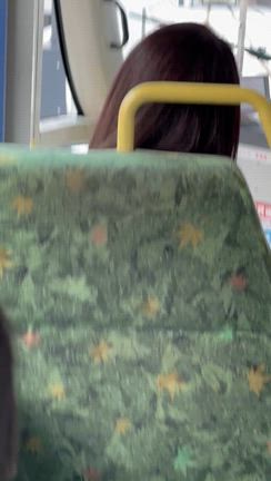 初乗車！の記事動画