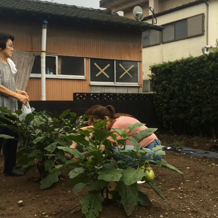 笑ってくれるかな？の記事動画