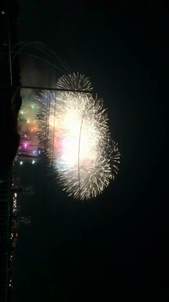 輝き。の記事動画