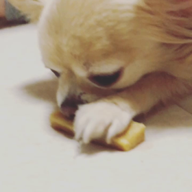らむちゃんのお気に入りの画像