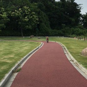 初めての自転車 その2 動画編の画像