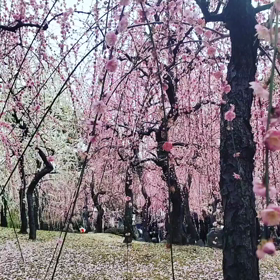 城南宮の画像