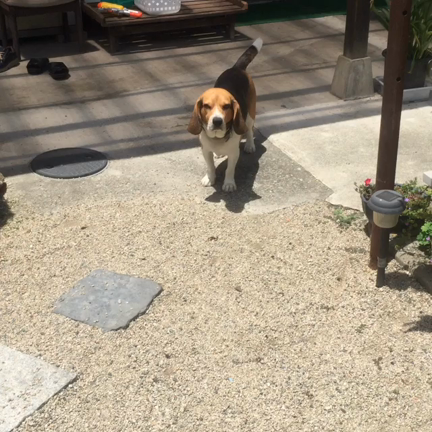 晴の記事動画