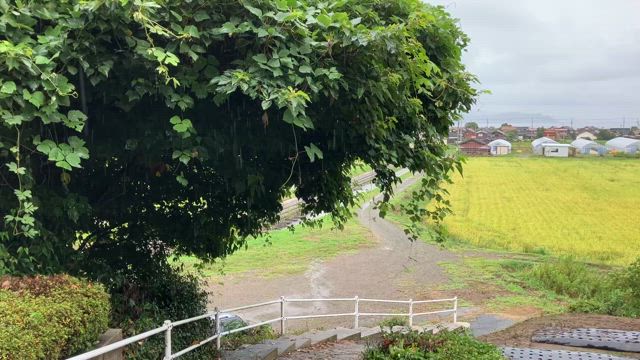 お墓参りの記事動画