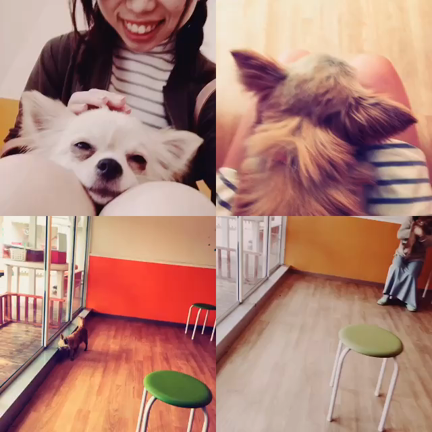 近日workshop開催!!の記事動画