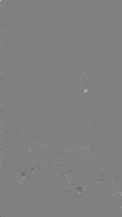 西伊豆から箱根、ショートトリップの記事動画
