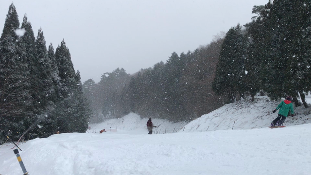 やったー、やったーよー٩( 'ω' )وの記事動画