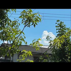2024/07/21の画像
